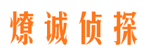 禄丰寻人公司